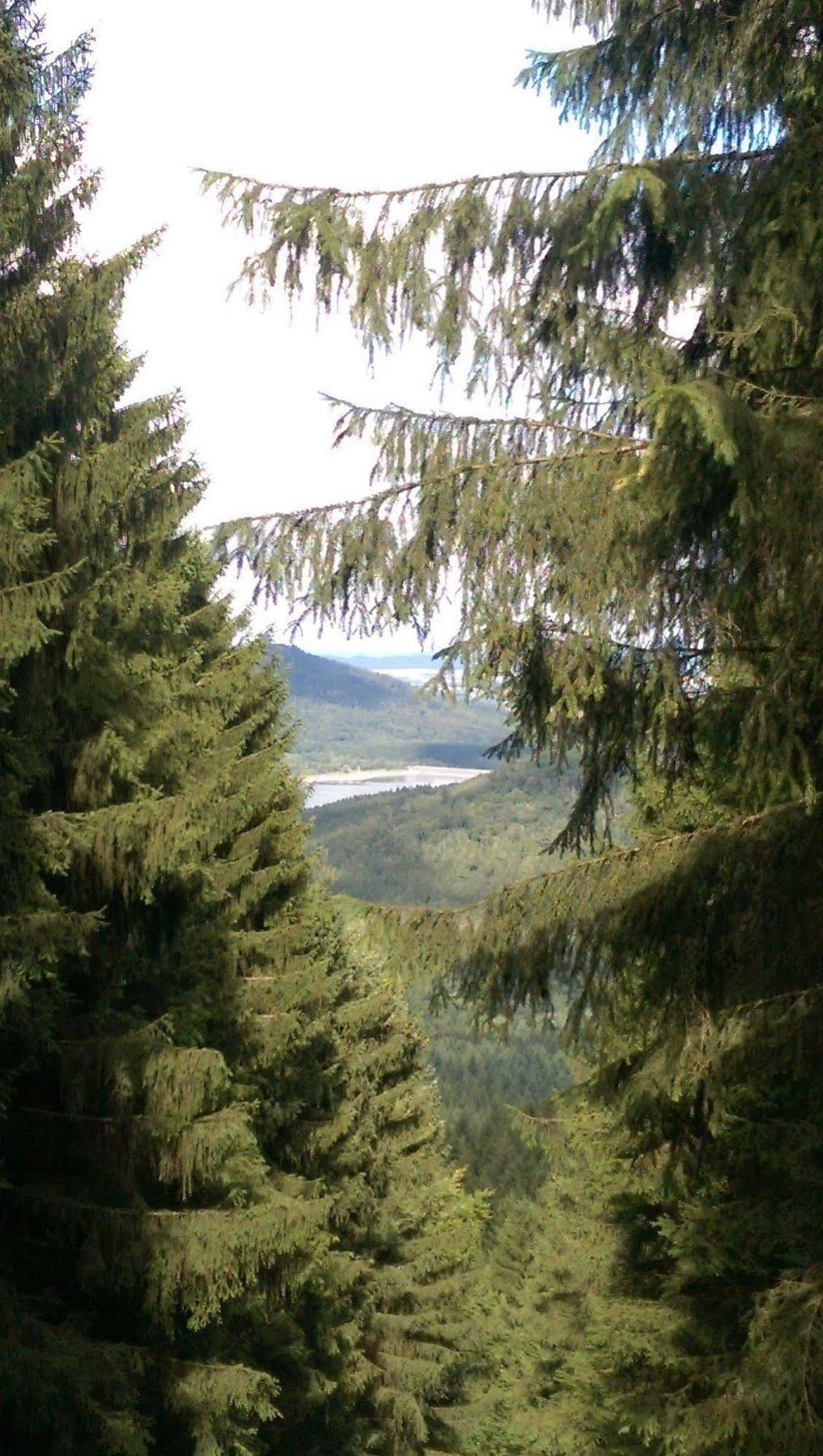Hotel Berghof Am See Lautenthal Buitenkant foto