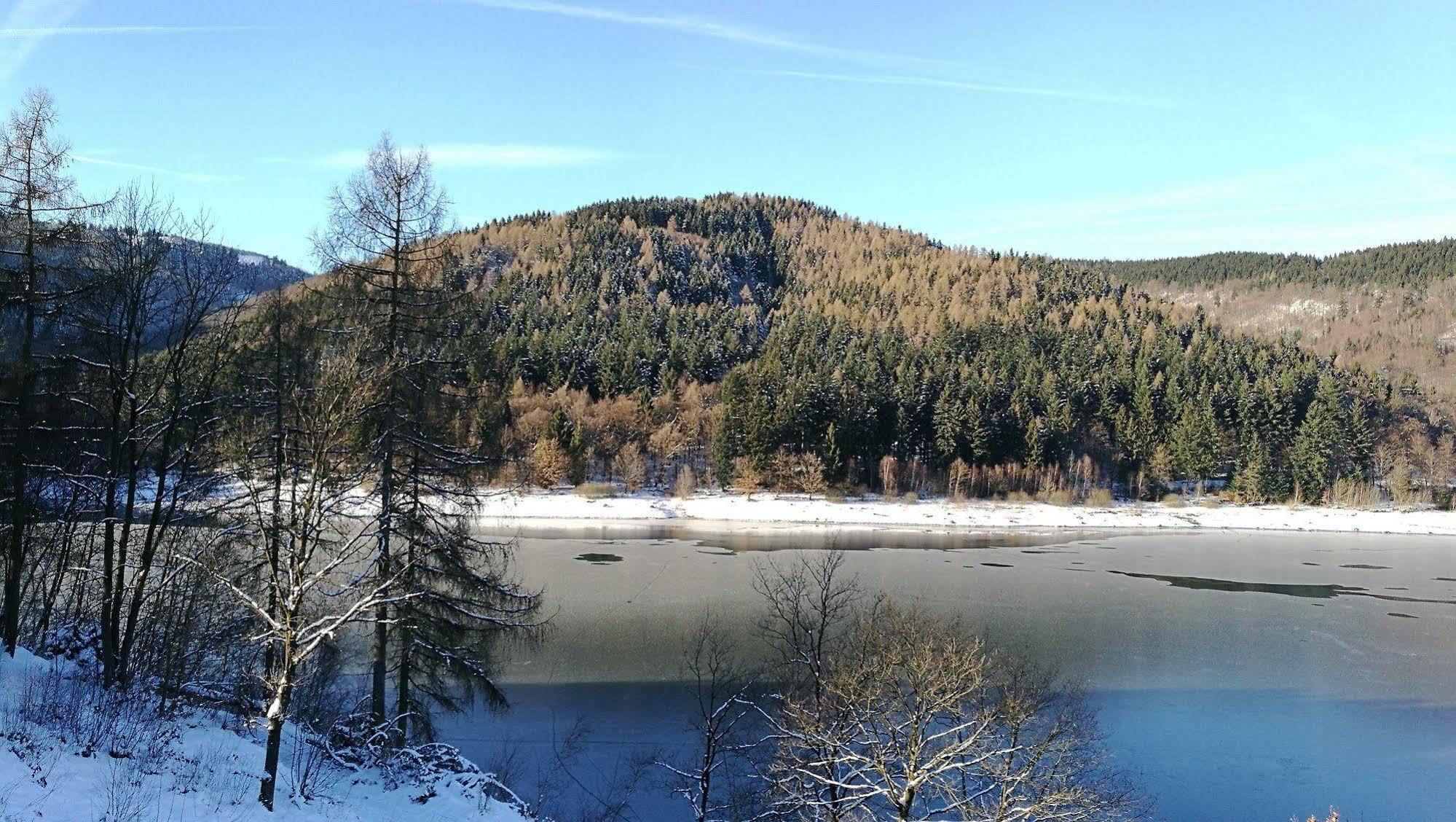 Hotel Berghof Am See Lautenthal Buitenkant foto