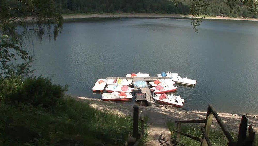 Hotel Berghof Am See Lautenthal Buitenkant foto